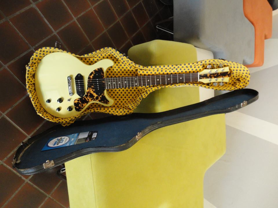 Leopard Guitar