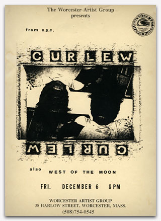 Curlew Poster